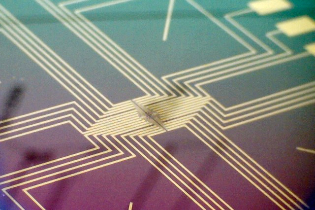 Bio-nano-electronic interfaces
