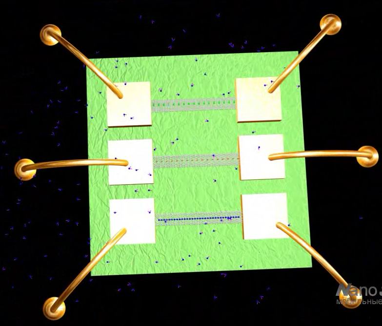 Nanosensors – foundation for digital nose